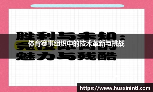 ok138太阳官网